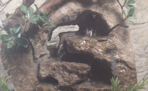 largelotussilk7a_large